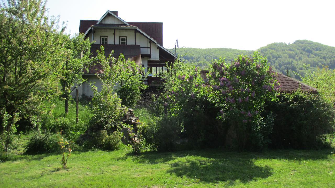 Cabana Poiana Galdei Exterior photo